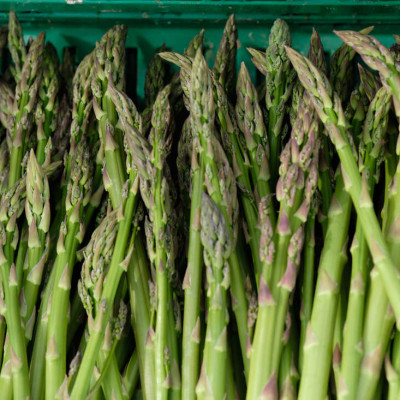 Grünspargel